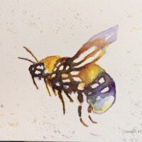 Loose Bee