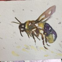 Loose Bee