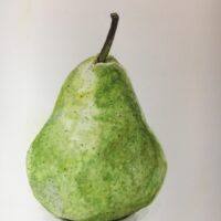 Williams Pear_AML