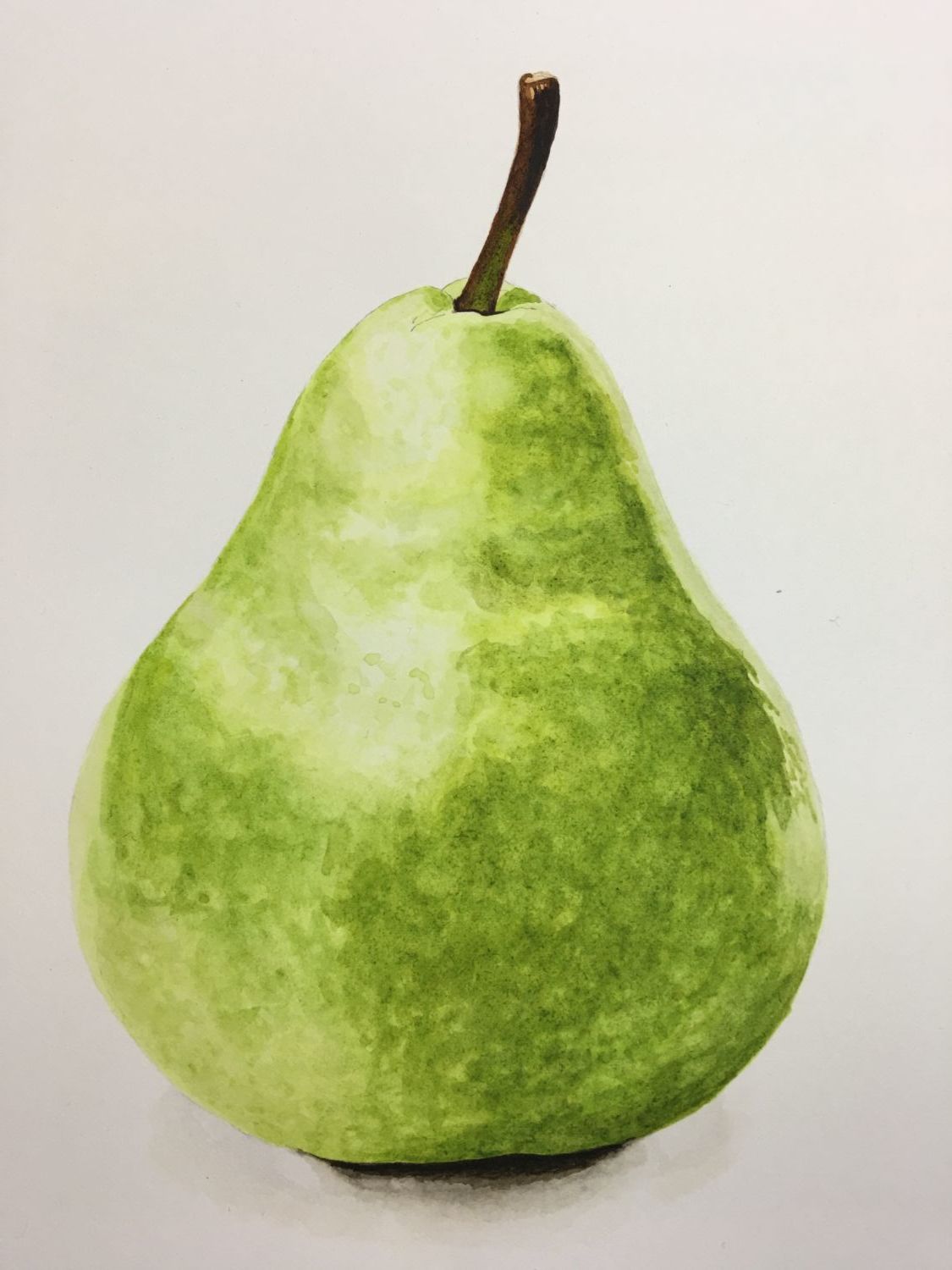 Kh’s Williams pear